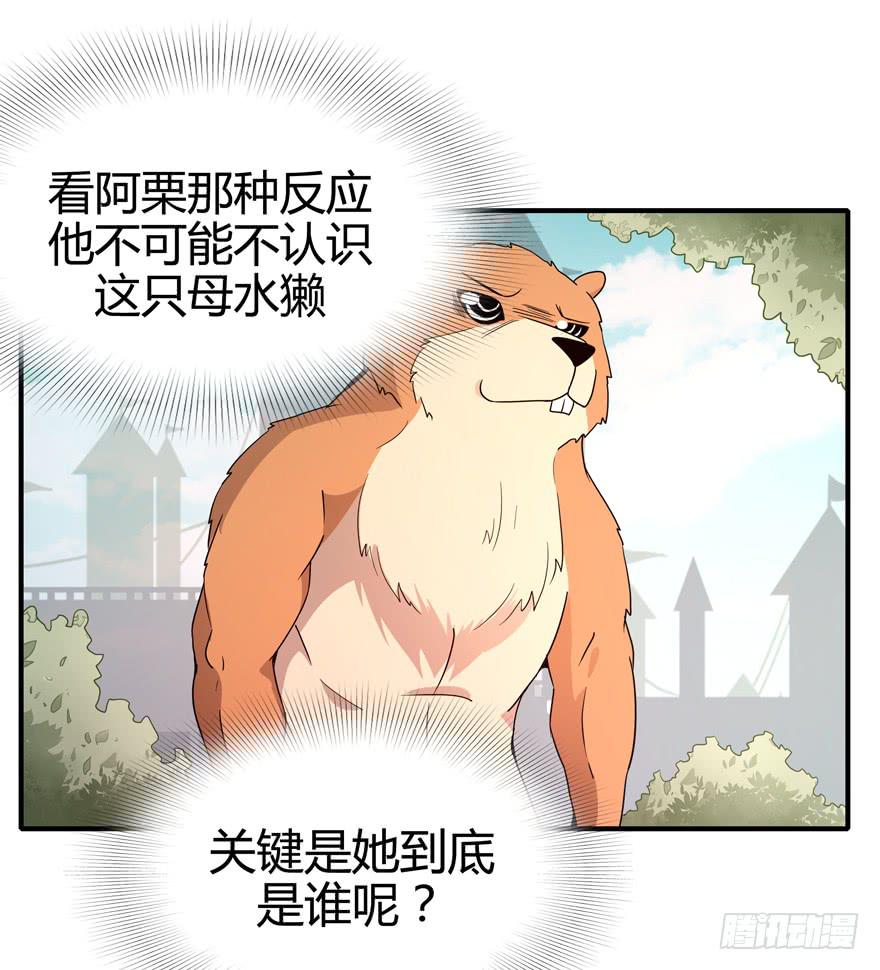 大名猩24