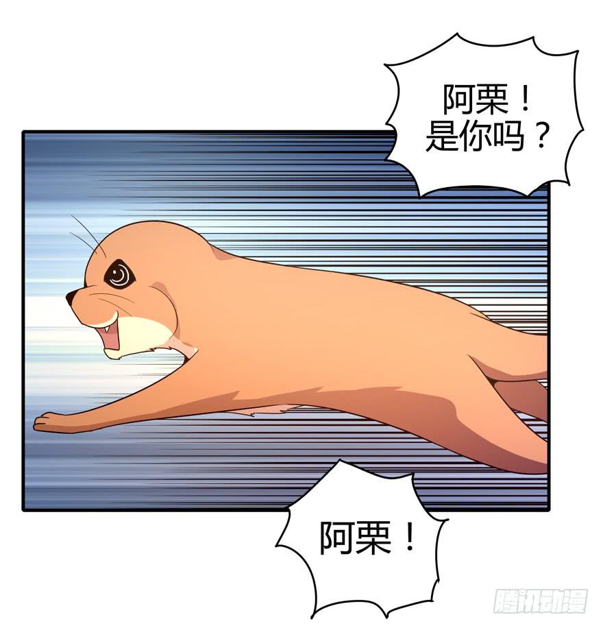 大名猩26