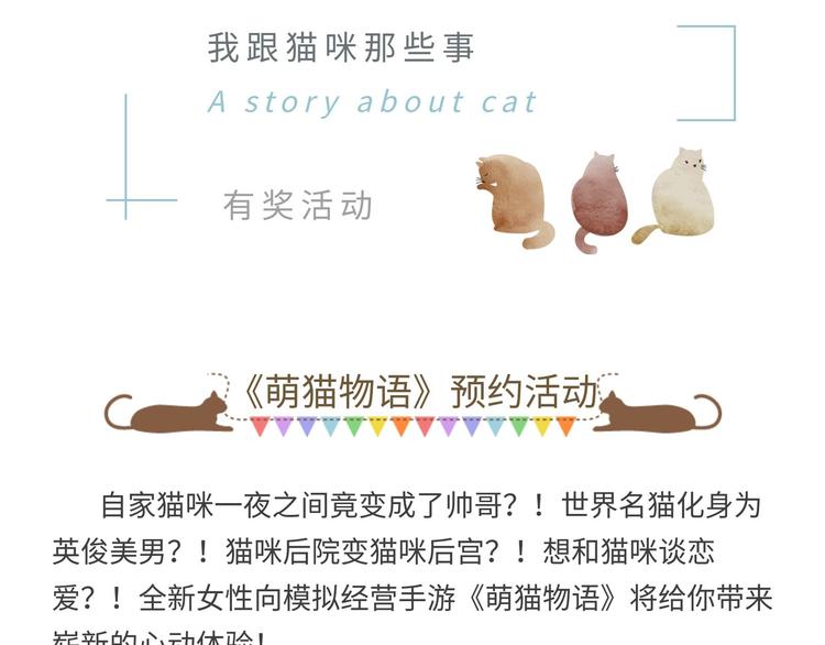 【萌猫物语】我和猫咪那些事0