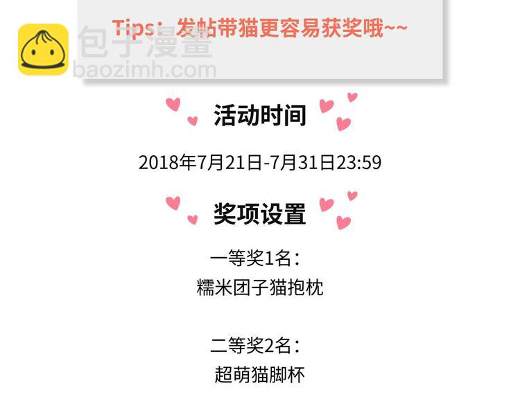 【萌猫物语】我和猫咪那些事4