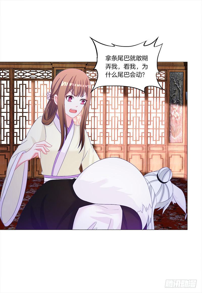 35、魅影雪狐王26