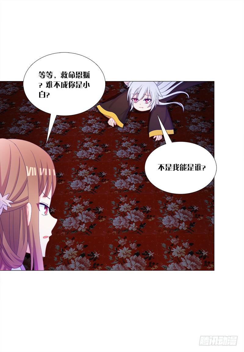 35、魅影雪狐王28