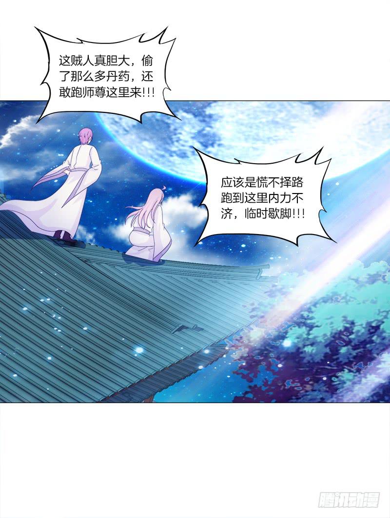 35、魅影雪狐王3