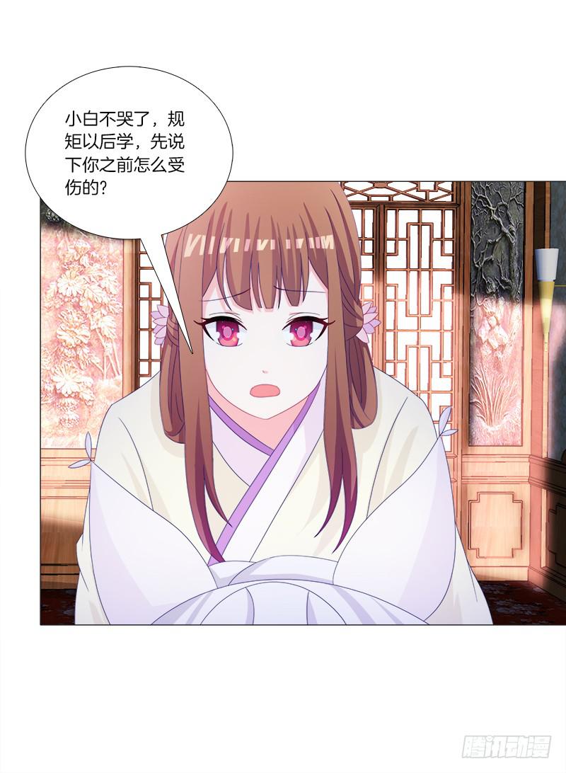 35、魅影雪狐王36
