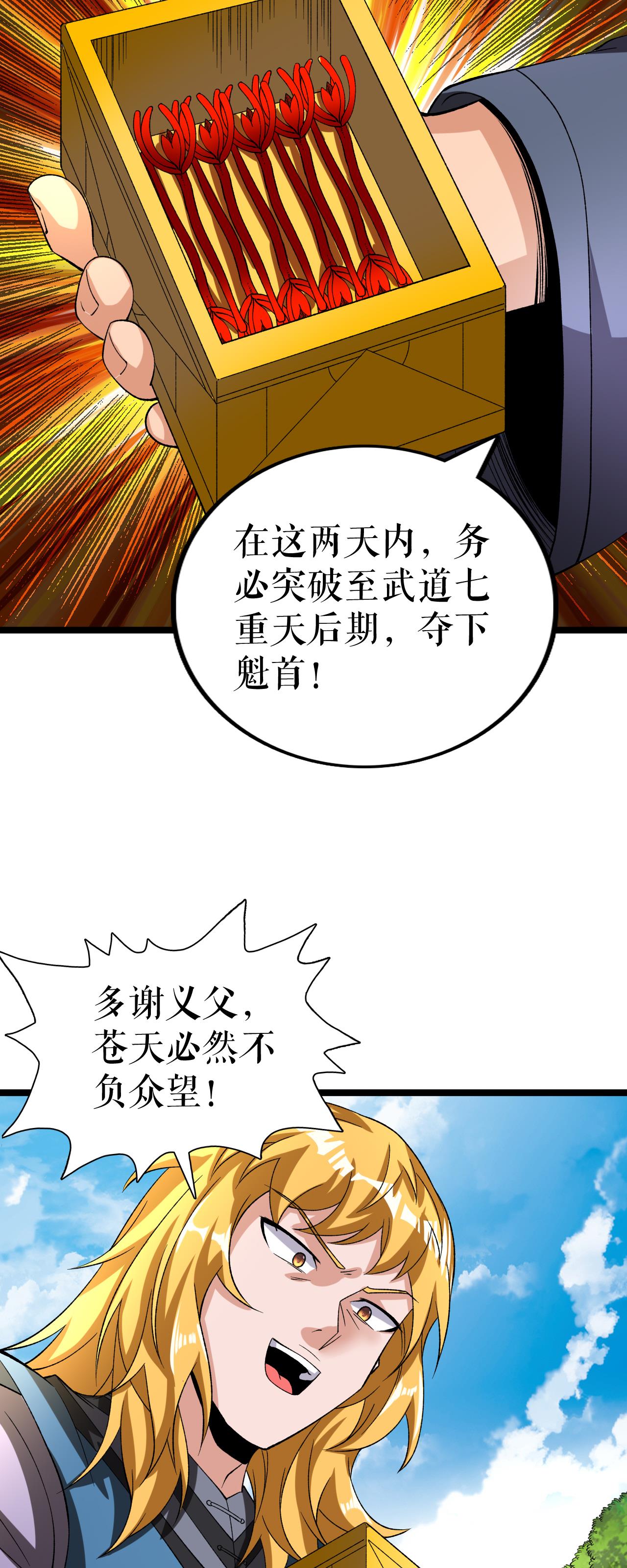 第77话 叶苍天的阴谋3