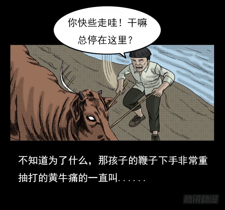 3老黄牛11