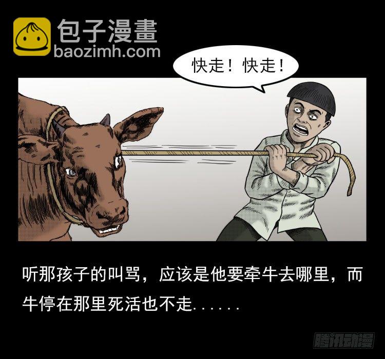 3老黄牛12