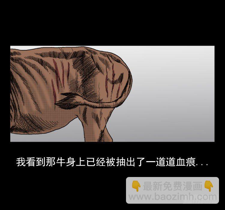 3老黄牛14