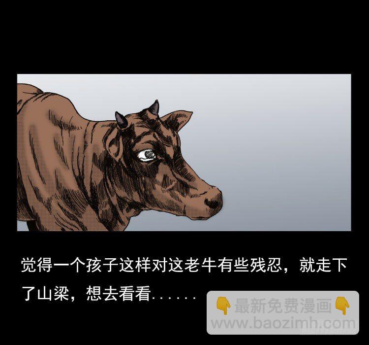 3老黄牛15