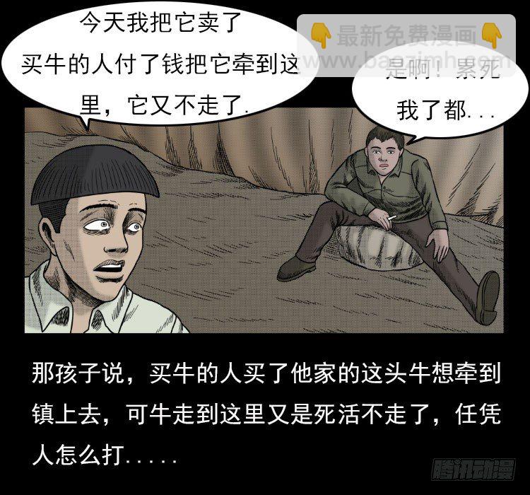3老黄牛19