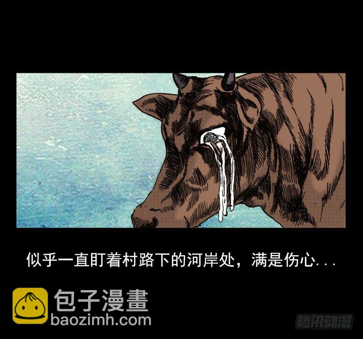 3老黄牛24