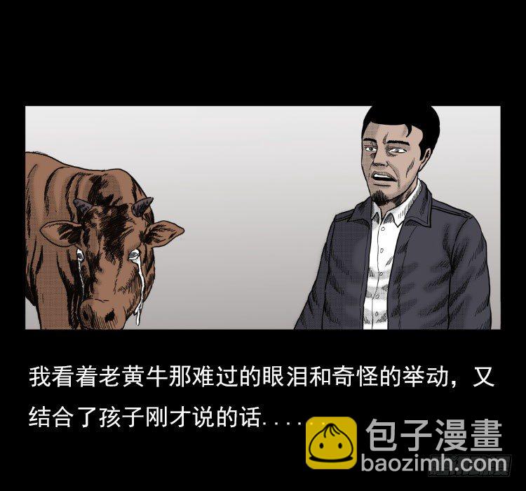 3老黄牛25