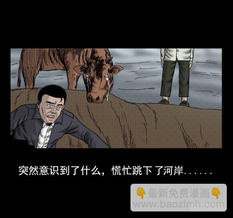 3老黄牛26