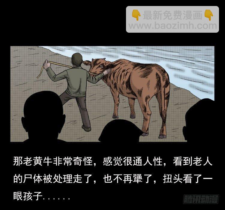 3老黄牛41