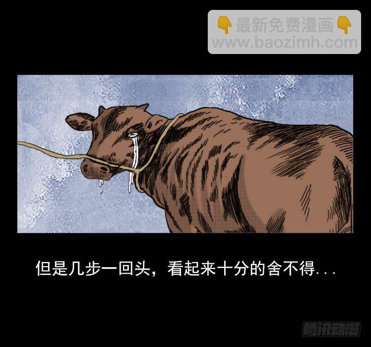 3老黄牛43