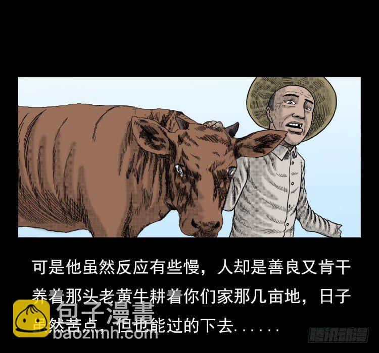 3老黄牛47