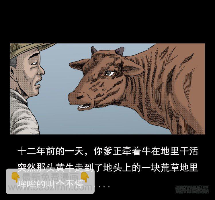 3老黄牛52