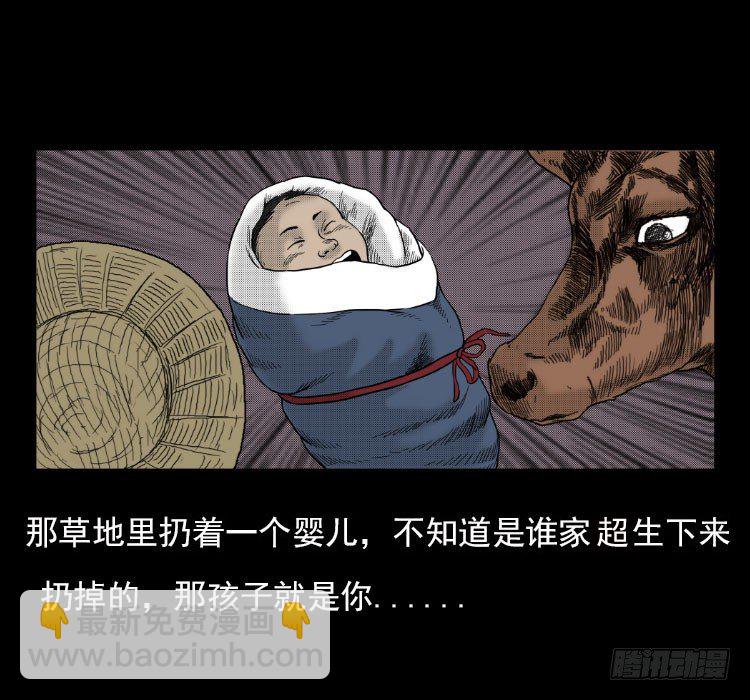 3老黄牛54