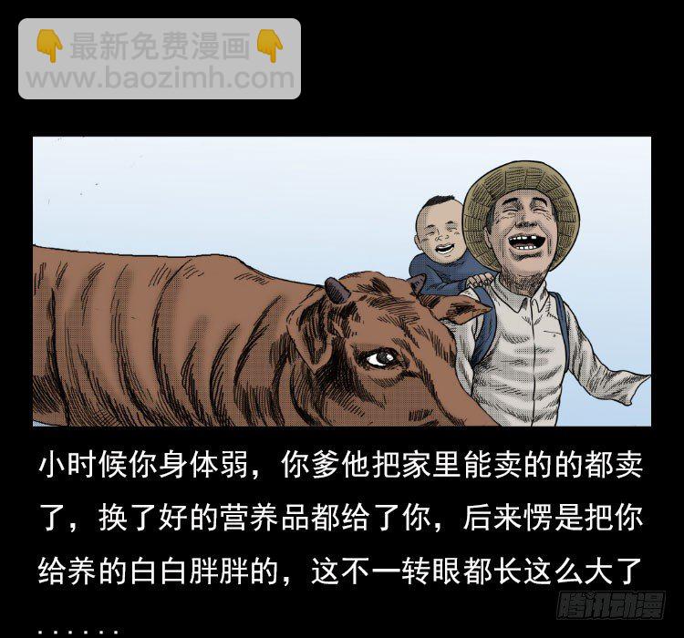 3老黄牛56