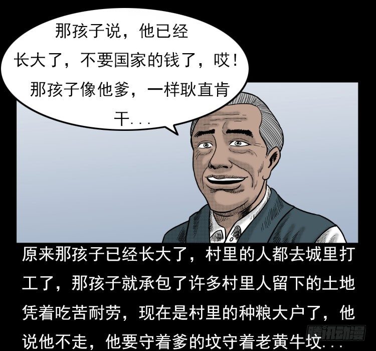 3老黄牛77