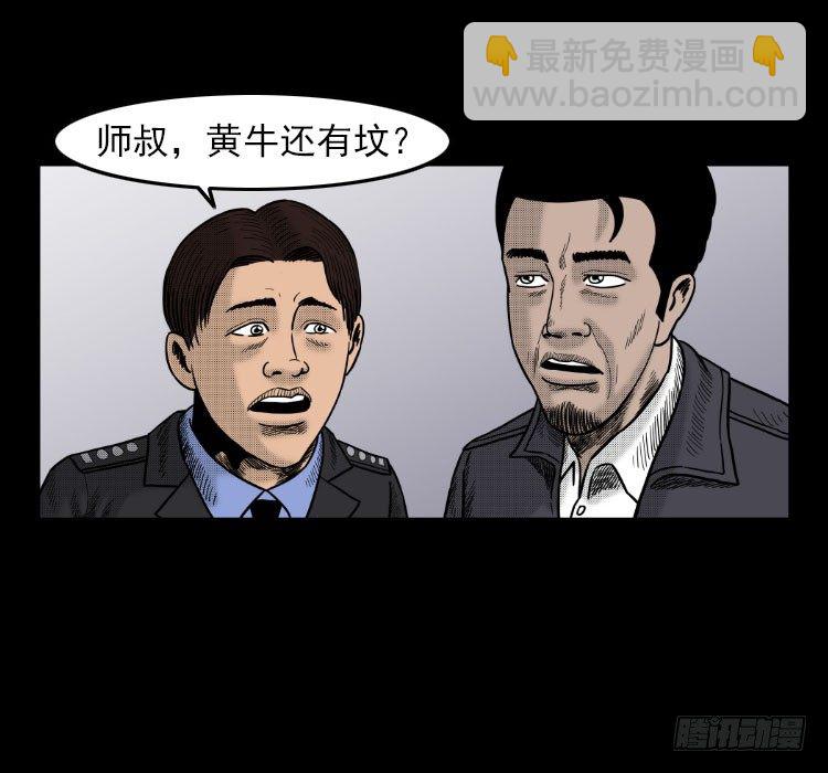 3老黄牛78