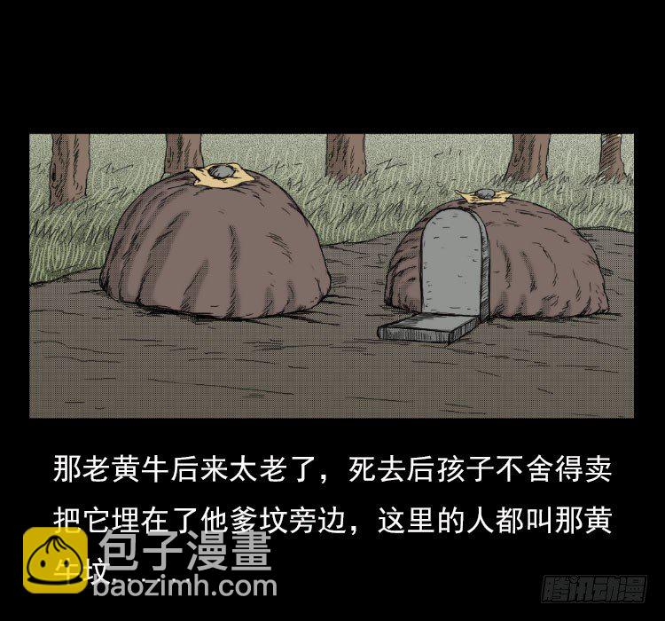 3老黄牛79