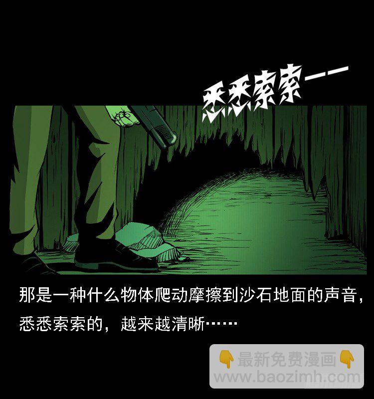17防空洞诡影325