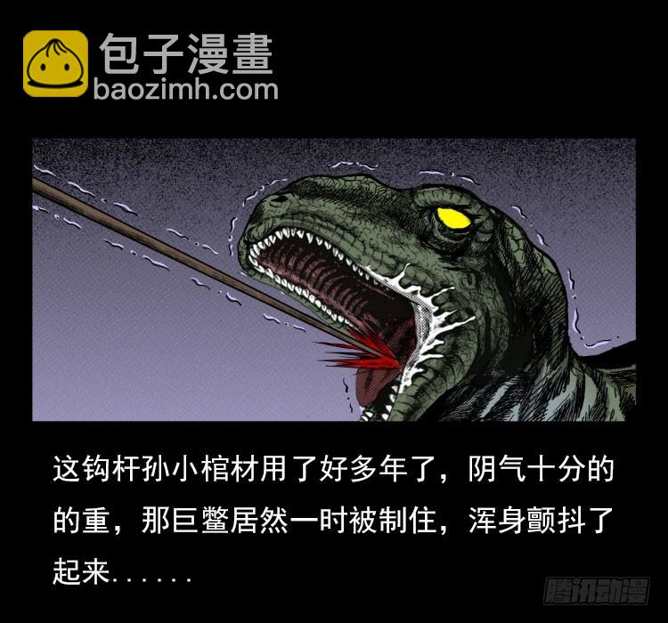 67巨鼋事件（下）34