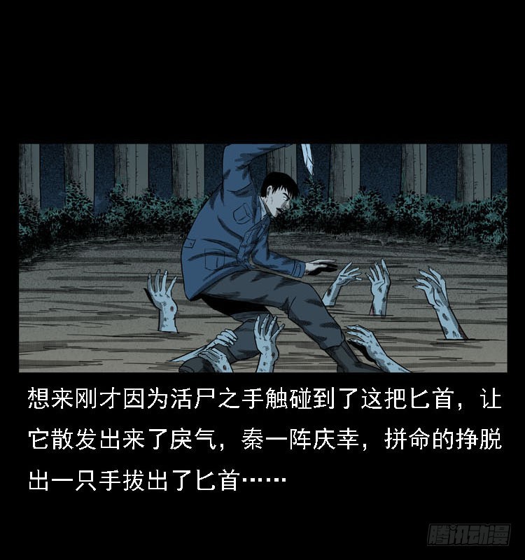 91活尸来袭48
