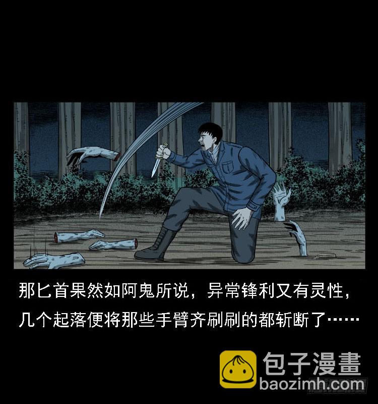 91活尸来袭49