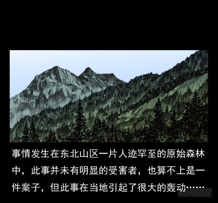 70原始森林中的鬼车（上）1