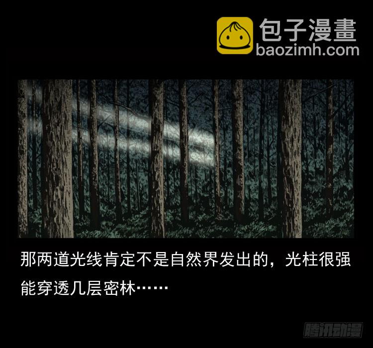 70原始森林中的鬼车（上）24