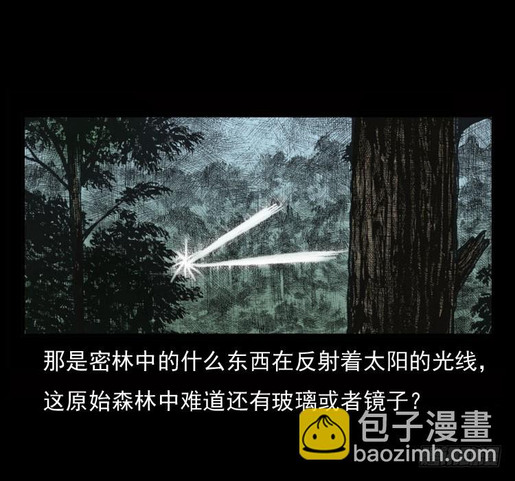 70原始森林中的鬼车（上）34