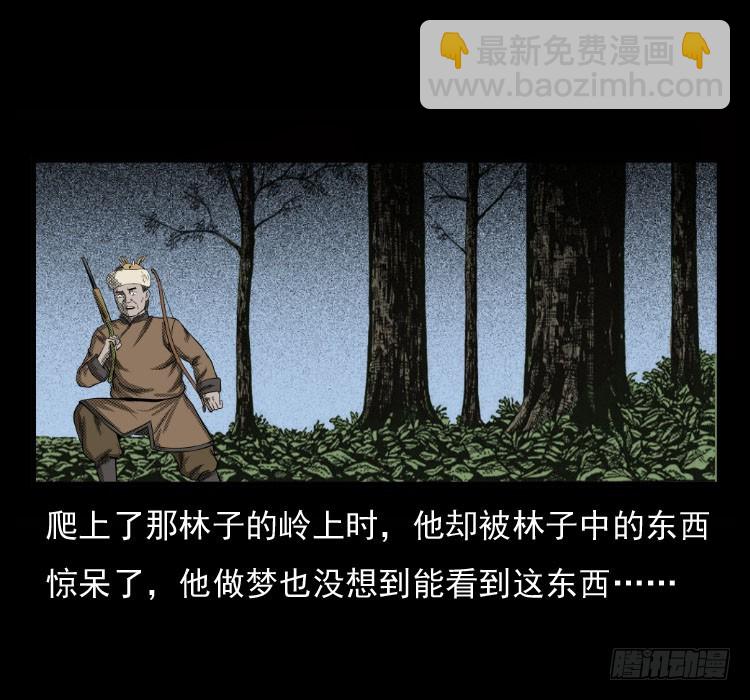 70原始森林中的鬼车（上）36