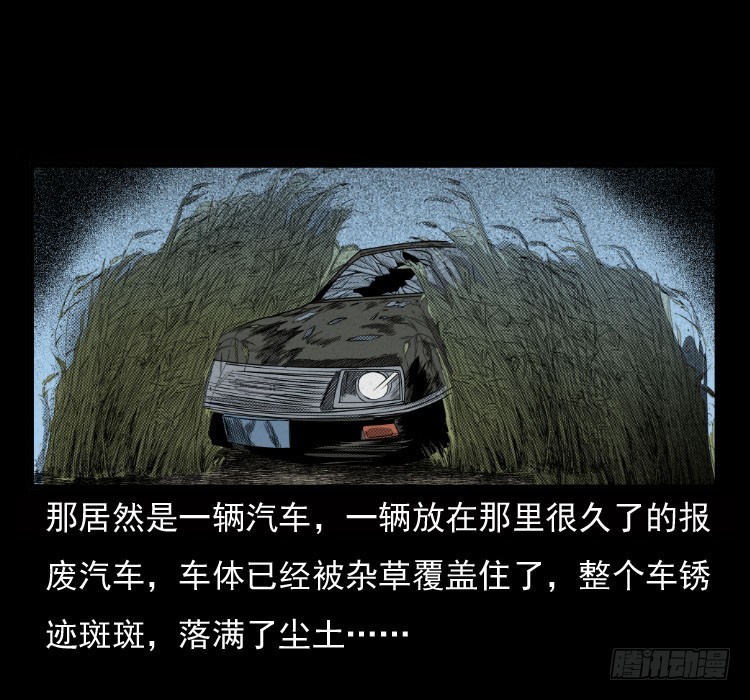 70原始森林中的鬼车（上）38