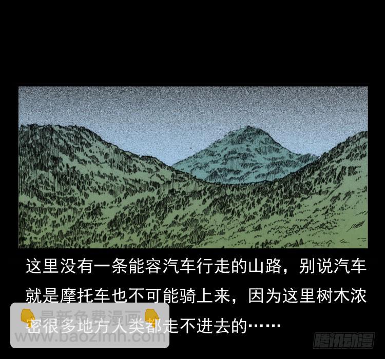 70原始森林中的鬼车（上）41