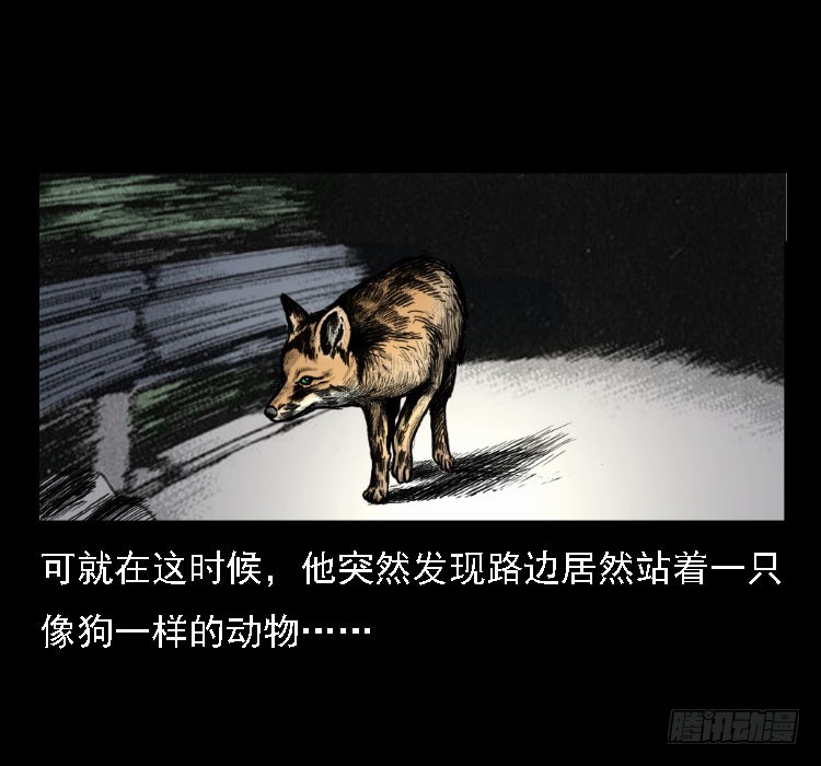 71原始森林中的鬼车（下）26