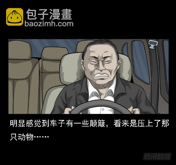 71原始森林中的鬼车（下）29