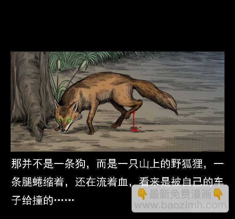 71原始森林中的鬼车（下）33