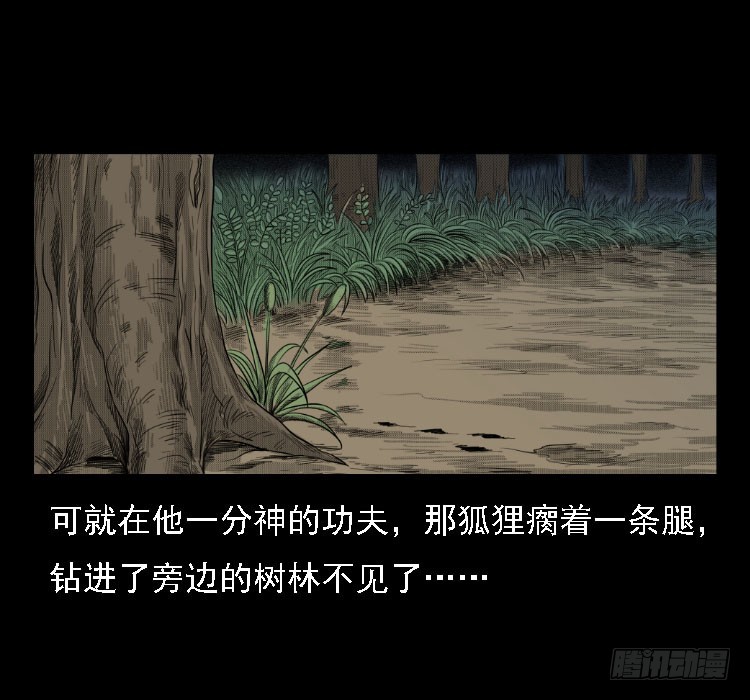 71原始森林中的鬼车（下）36
