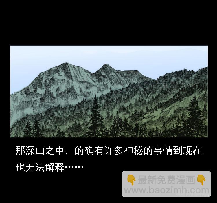 71原始森林中的鬼车（下）74