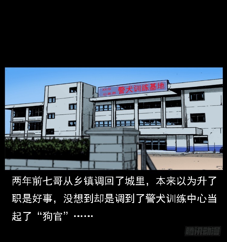 117通灵警犬14