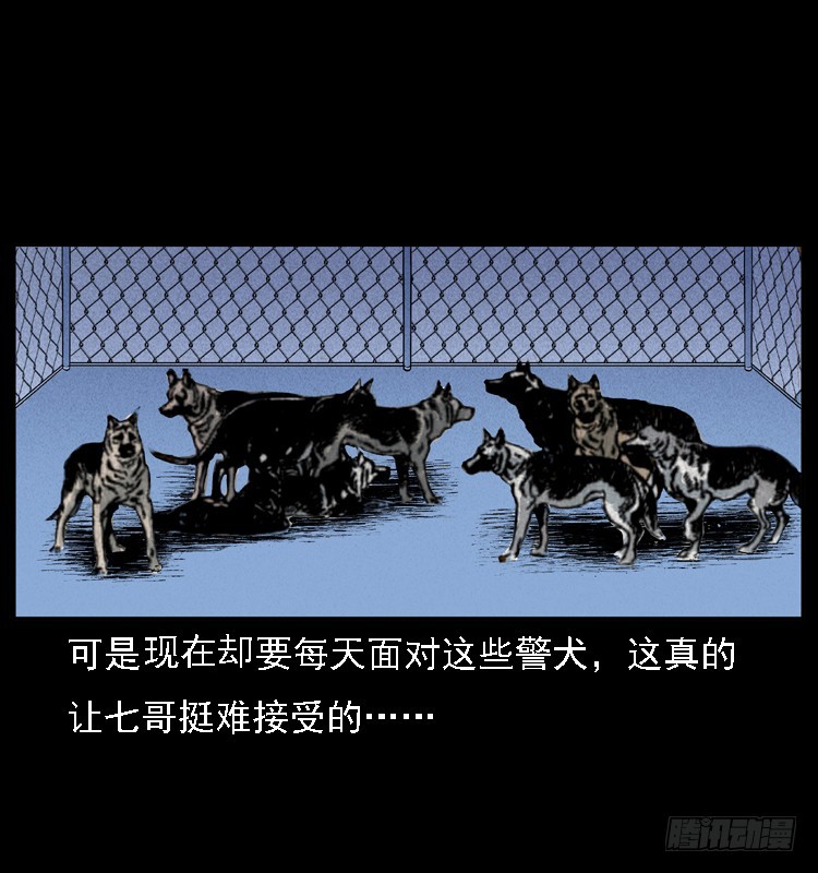 117通灵警犬16