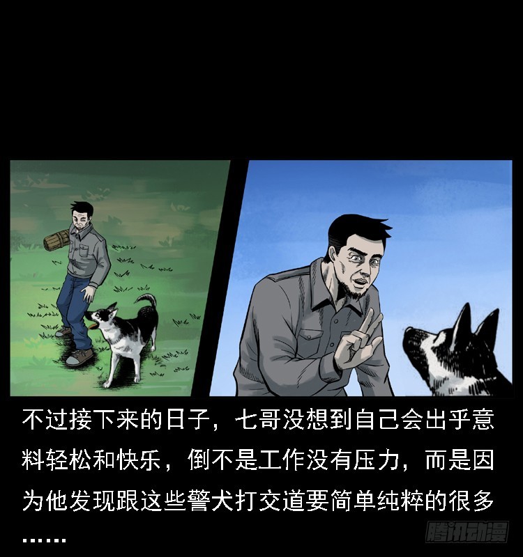 117通灵警犬17