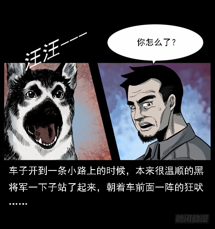 117通灵警犬21