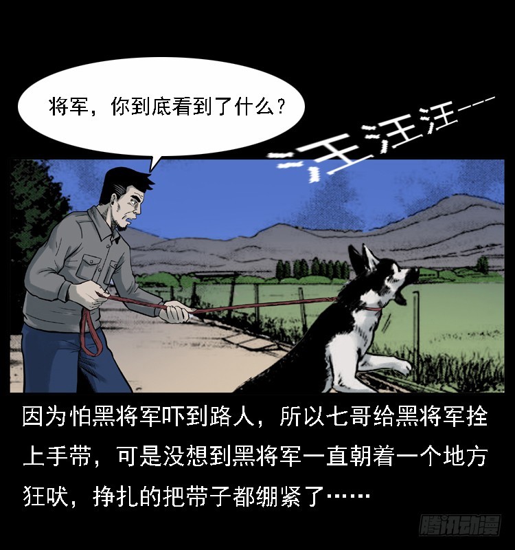 117通灵警犬28