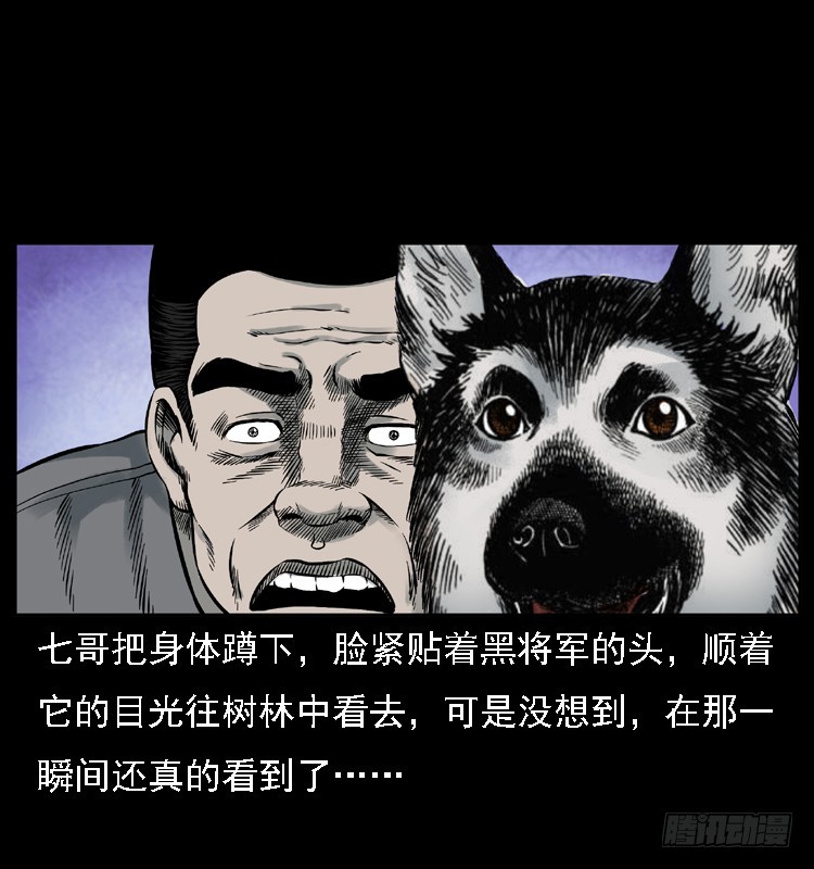 117通灵警犬31