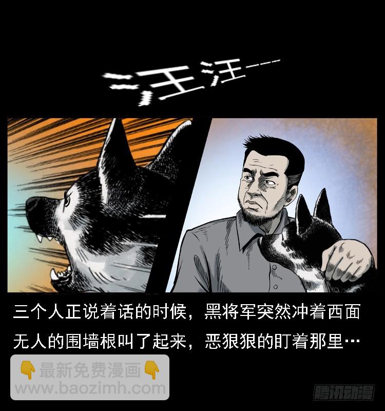 117通灵警犬4