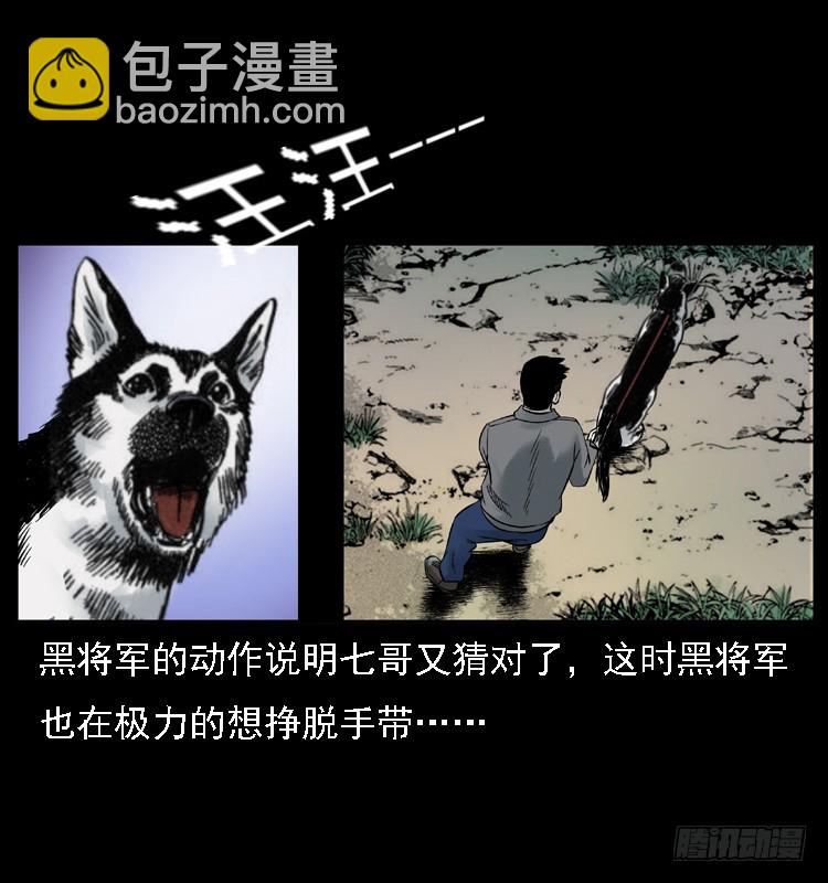 117通灵警犬47