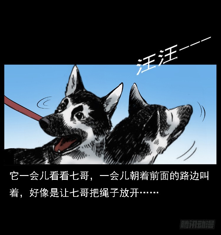 117通灵警犬48